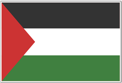 20100223020745-palestine-flag.gif